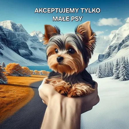 Mountain View Snowbird Budzowka By Rentilopl