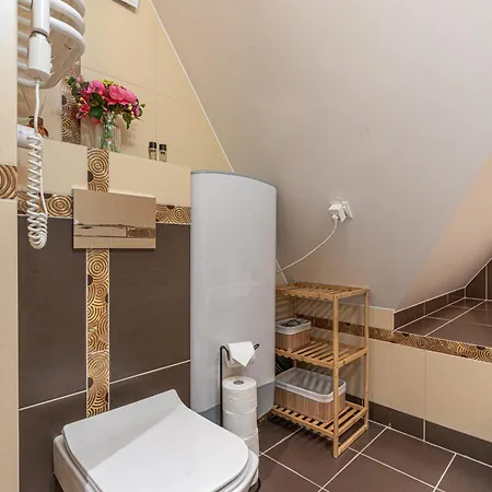 Mountain View Snowbird Budzowka By Rentilopl 考斯赛力克