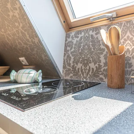 Mountain View Snowbird Budzowka By Rentilopl 公寓 考斯赛力克