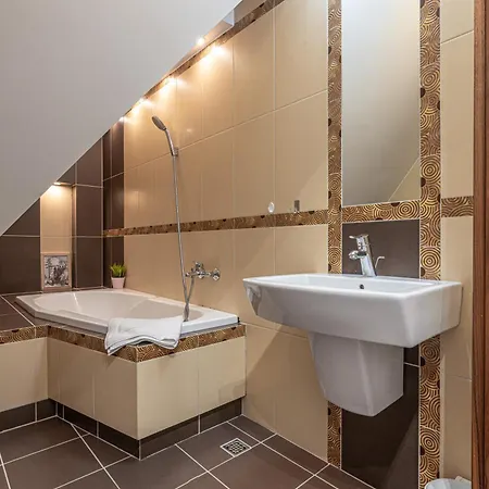 公寓 Mountain View Snowbird Budzowka By Rentilopl 考斯赛力克