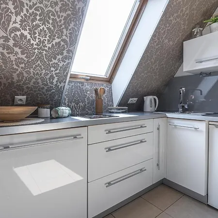 公寓 Mountain View Snowbird Budzowka By Rentilopl 考斯赛力克