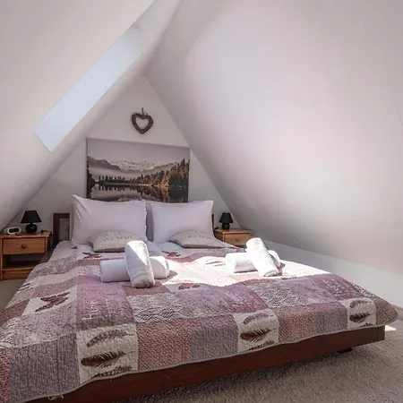 公寓 Mountain View Snowbird Budzowka By Rentilopl *