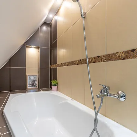 Mountain View Snowbird Budzowka By Rentilopl 公寓 *